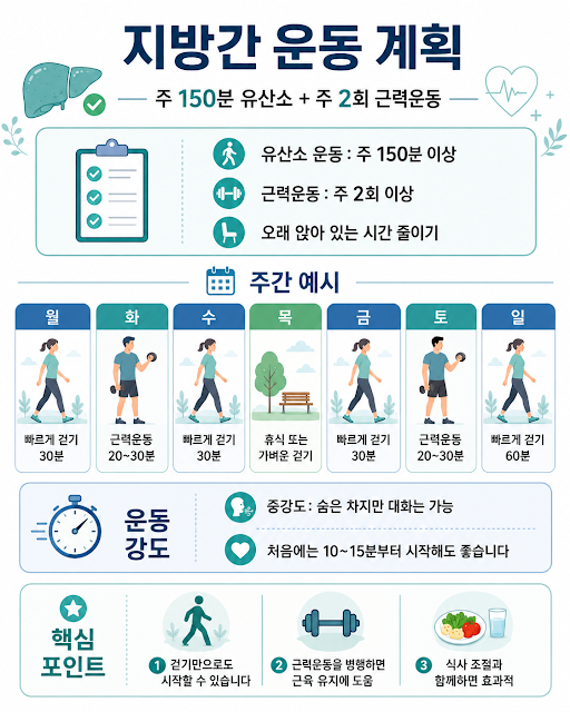 지방간 운동을 위한 주 150분 유산소와 주 2회 근력운동 구성