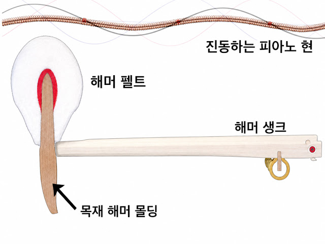 피아노 망치 헤드 단면도, 나무 코어와 압축 펠트의 다층 구조