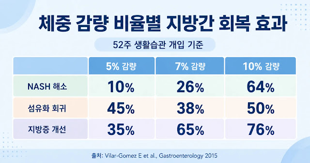 체중 감량 비율별 지방간 회복 효과 표 — 5%·7%·10% 감량 시 NASH 해소·섬유화 회귀·지방증 개선 수치 (Vilar-Gomez et al., Gastroenterology 2015)